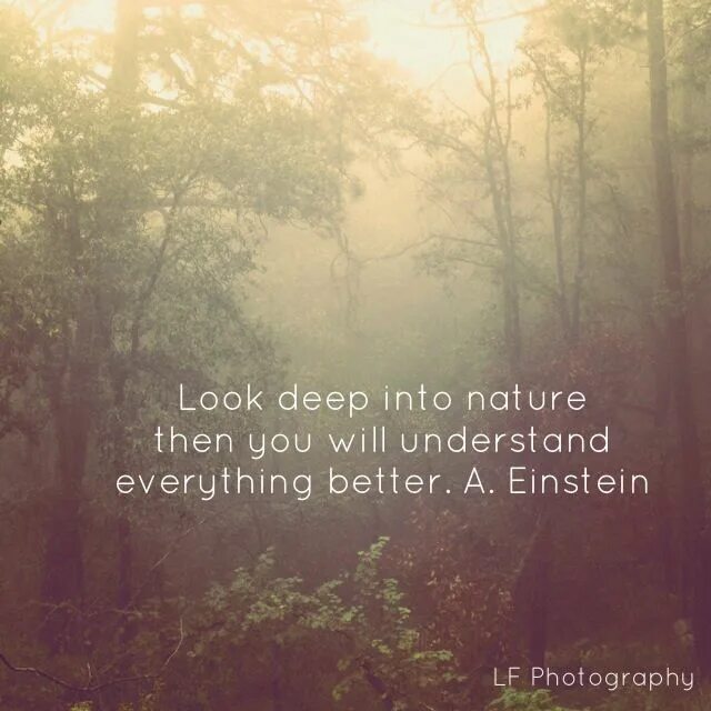 Everything is better. Nature quotes. quotes about nature. look deep into the nature quotes. look deep into the nature and you will understand everything better.