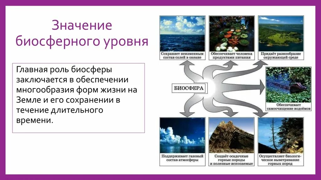 Элементы системы биосферного уровня. Значение биосферного уровня. обеспечение многообразия форм жизни на земле-. биосфера уровень организации жизни.