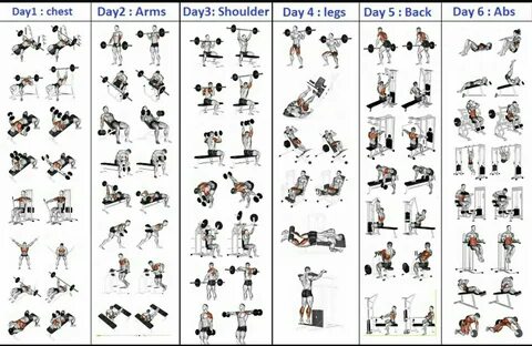 For Men, Gym Workout Program, 5 Day Workouts, Workout Plan To Lose Weight, ...