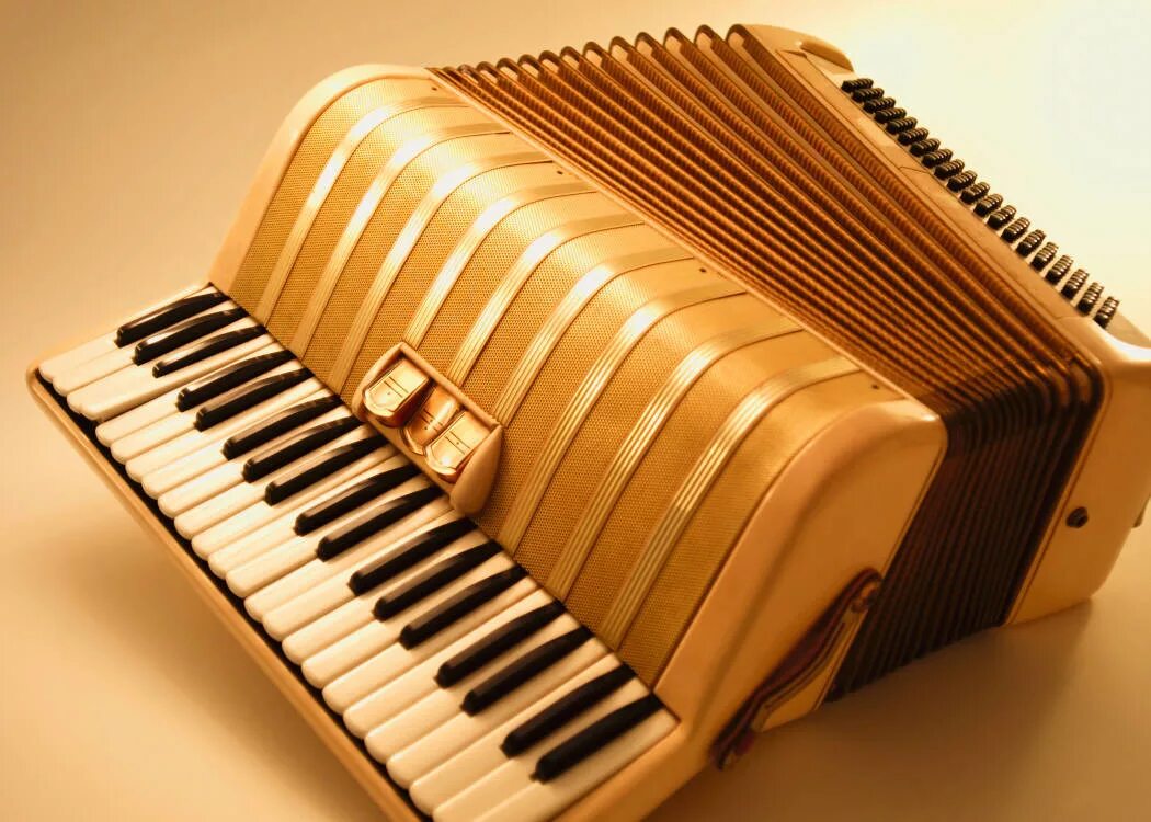 Французская музыка аккордеон. Пхутмус золотой аккордеон. Желтый аккордеон. Аккордеон Эстетика. Красивый аккордеон.