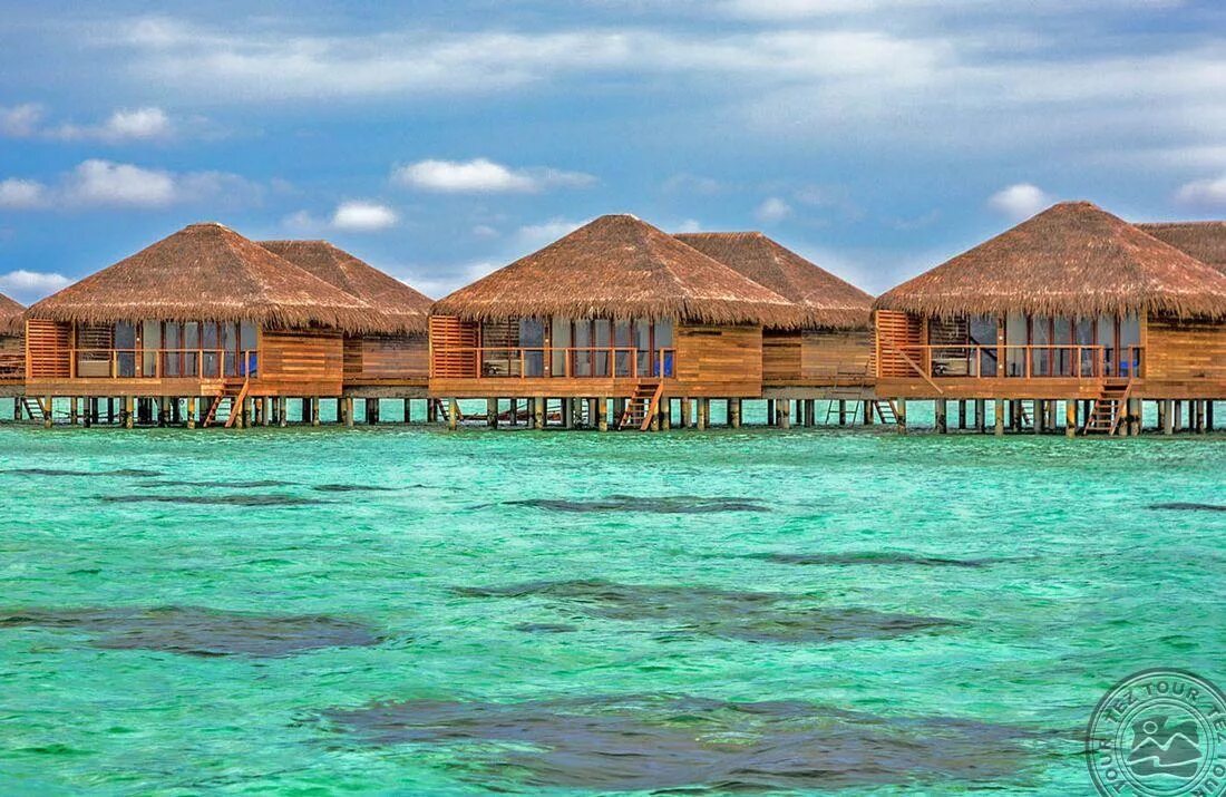 Cocoon maldives. Cocoon мальдивы. отель cocoon maldives 5. отель кокон мальдивы. мальдивы остров кокон.