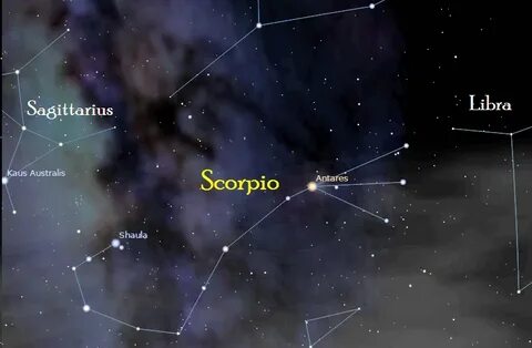 Альфа в созвездии скорпиона 7 букв