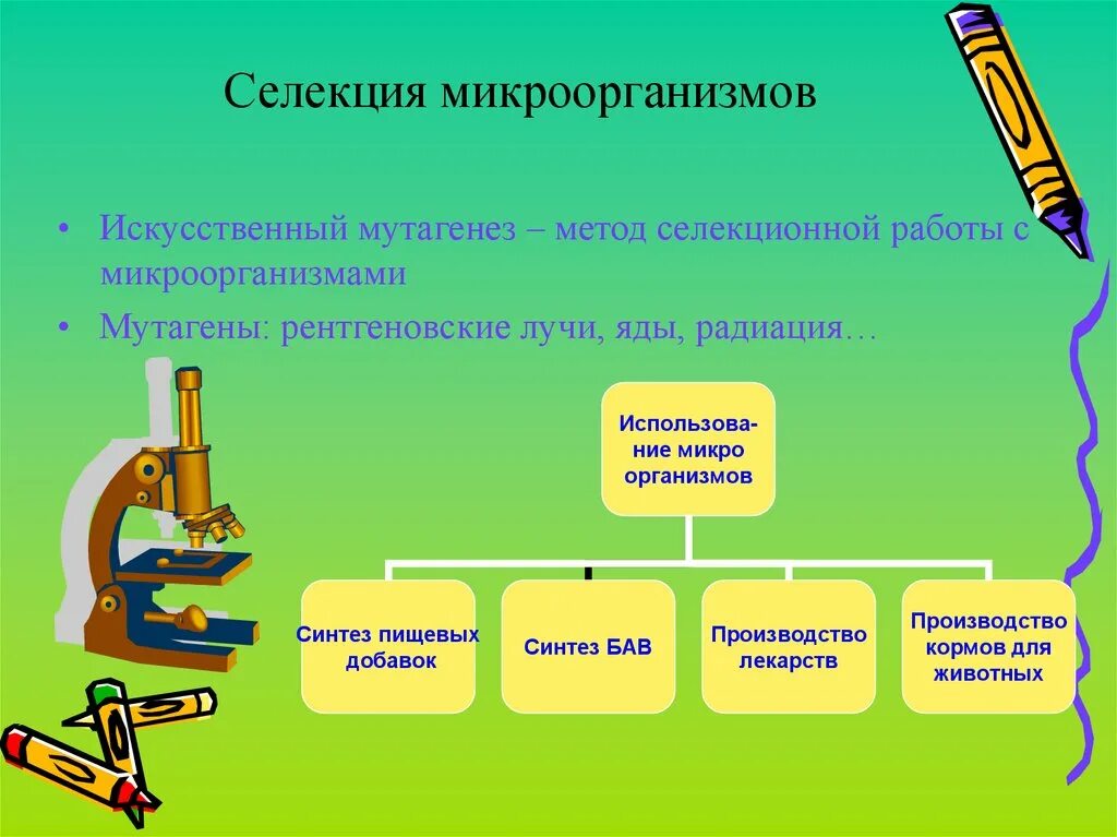 Селекция презентация 10 класс. Методы селекции искусственный мутагенез. Искусственный мутагенез в селекции микроорганизмов. Методы селекции микроорганизмов. Методы искусственного мутагенеза.