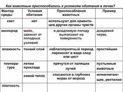Дятел приспособленность к среде обитания таблица