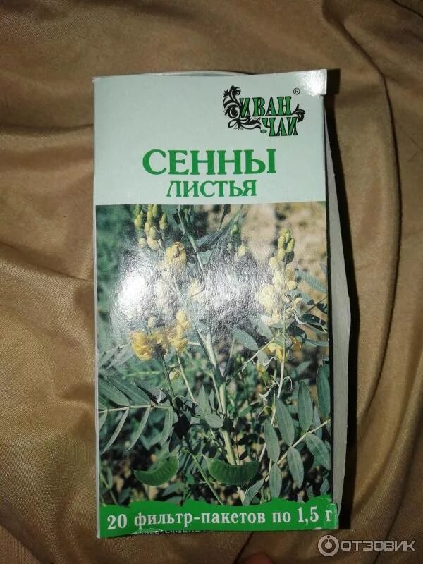Синие листья чай для запора. Синие листья чай для запора