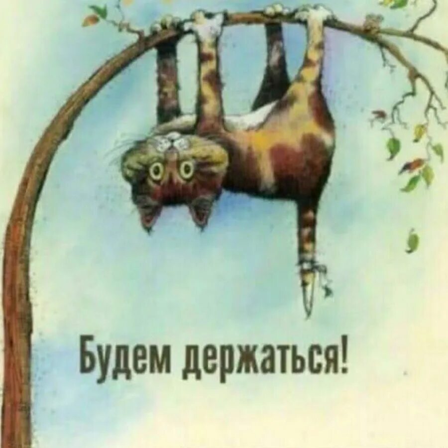 Я не ною о судьбе лучшее
