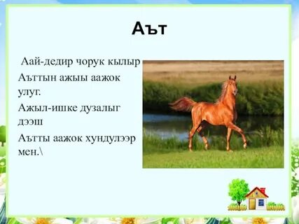 Тывызык