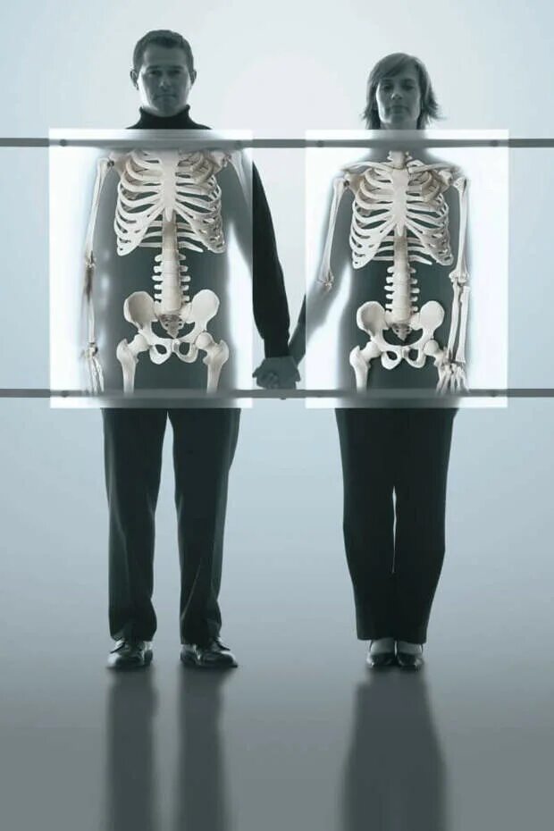 Скелет женщины. Женский и мужской скелет. Мужской скелет. Скелет мужчины и женщины.