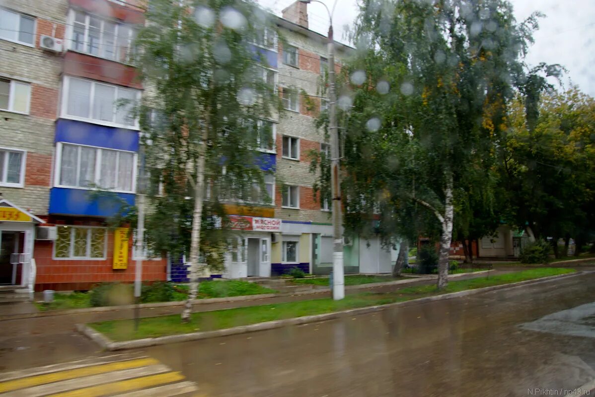 котята вятские поляны