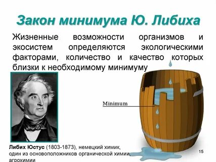 Закон либиха кратко