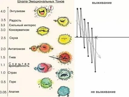 Шкала тонов рона хаббарда