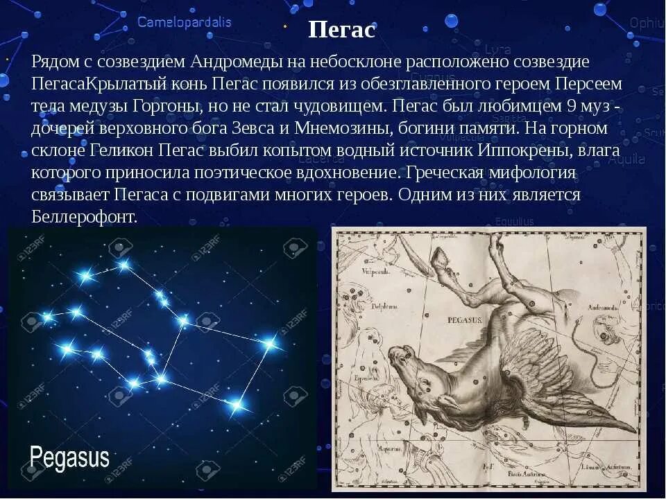 Самое крупное созвездие. Созвездие андромеда миф древней греции. созвездие пегас рассказ. созвездие андромеда легенда для детей 2 класс. легенда возникновения созвездия пегас.