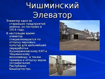 До обеда на элеватор отправили