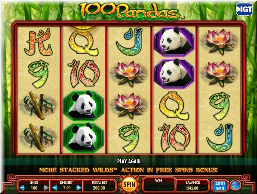 100 pandas