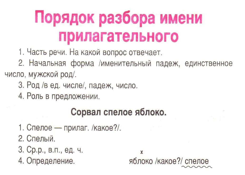 Разбор прилагательного как часть речи 3 класс. Разбор слова как часть речи прилагательное 3 класс. Как разобрать прилагательное как часть речи образец. Разбор по частям речи имени прилагательного 4 класс.