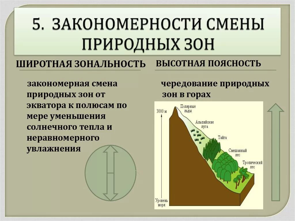 Чем обусловлена смена природных зон на земле