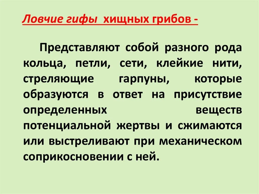 Тут ловчий перервал ответ каково значение