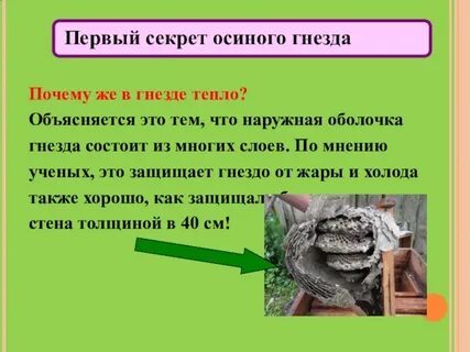 Рассказ не семейка а осиное гнездо