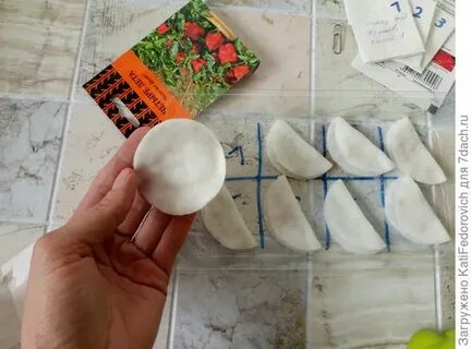 Семена ватные диски