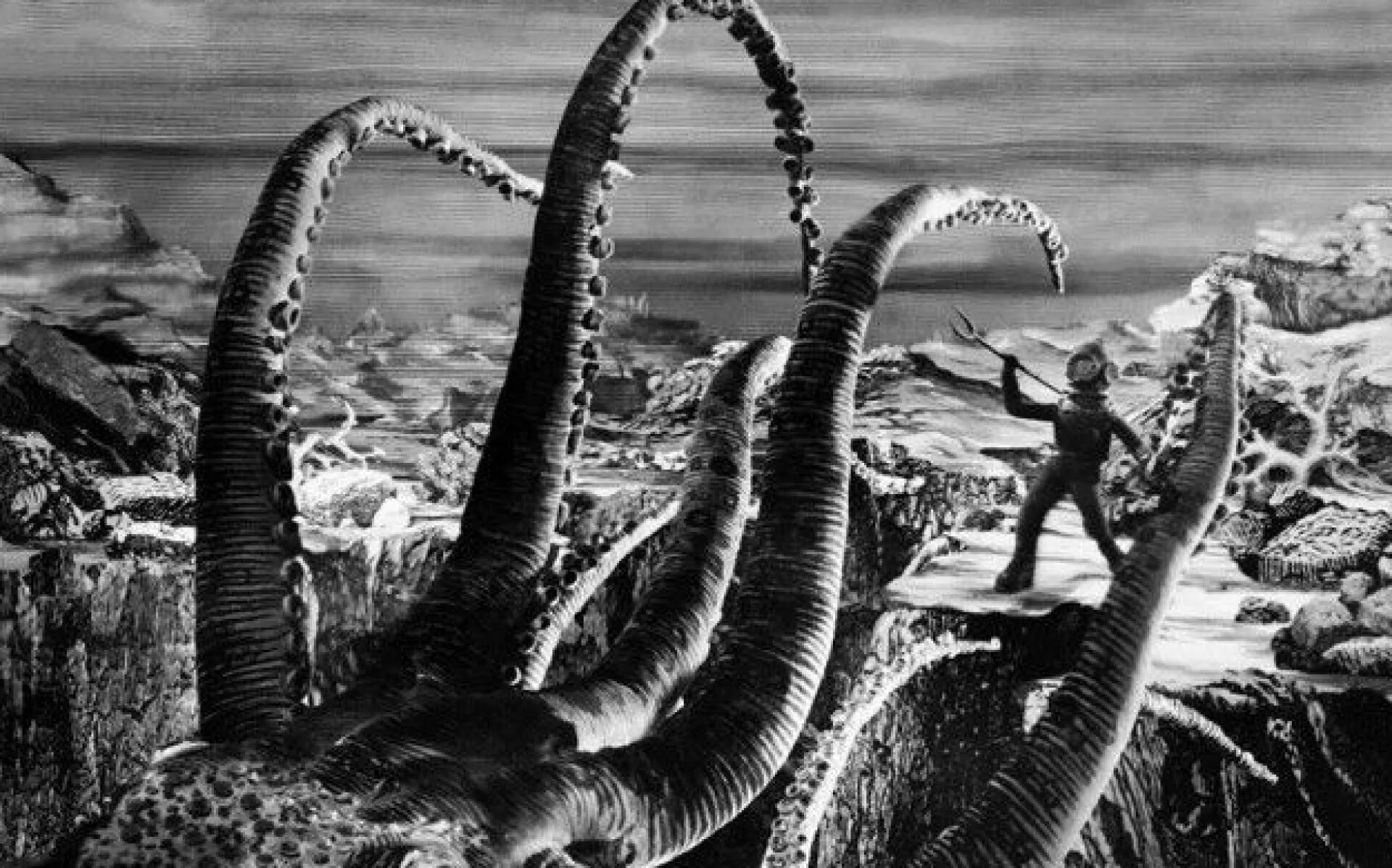 Тайна острова бэк-кап (1958). Капа mma. Flamma капа для зубов. Капа бэки. Капа для бокса flamma.