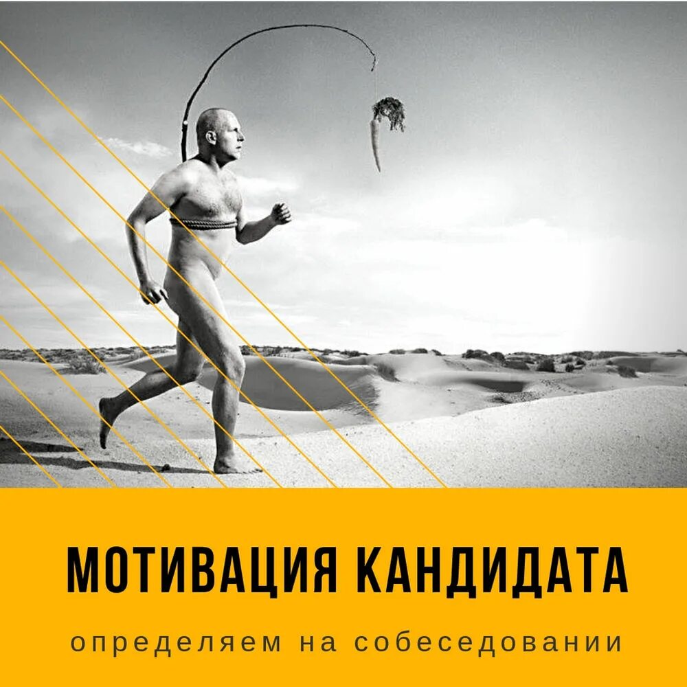 Мотивация кандидатов. Мотивация кандидатов. Мотивация для соискателя. Мотивы человека. Мотиваторы кандидата.