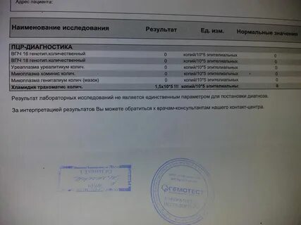 Пцр мазок на хламидии микоплазмы
