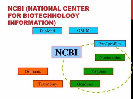 Ncbi article