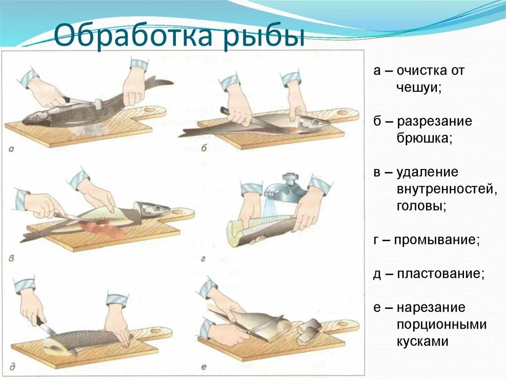 Обработка рыбы 7 класс. Схема обработки чешуйчатой рыбы. Технология первичной обработки рыбы. Этапы механической обработки рыбы. Первичная обработка чешуйчатой рыбы.