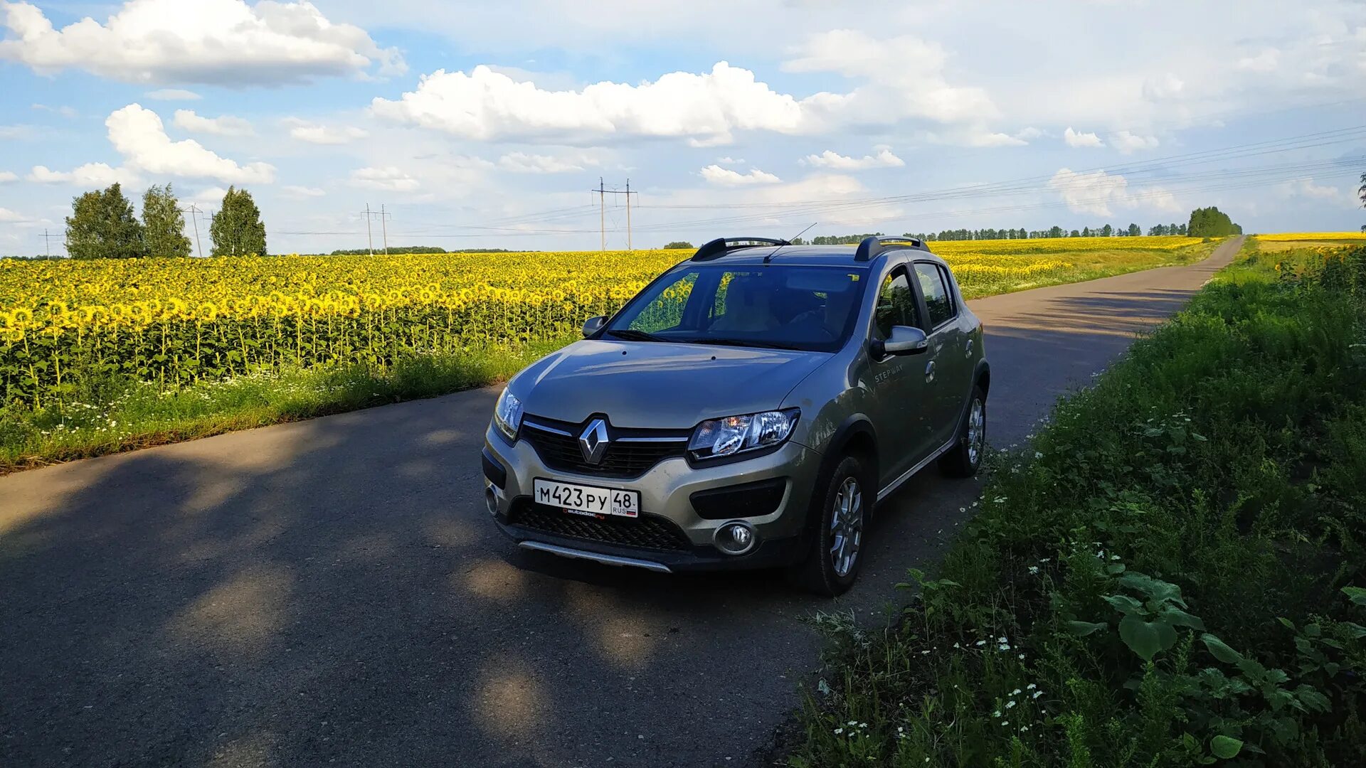 Сандеро степвей. Renault Sandero Stepway. Рено Сандеро 2. Renault Sandero Stepway 2015. Воронеж рено степвей купить