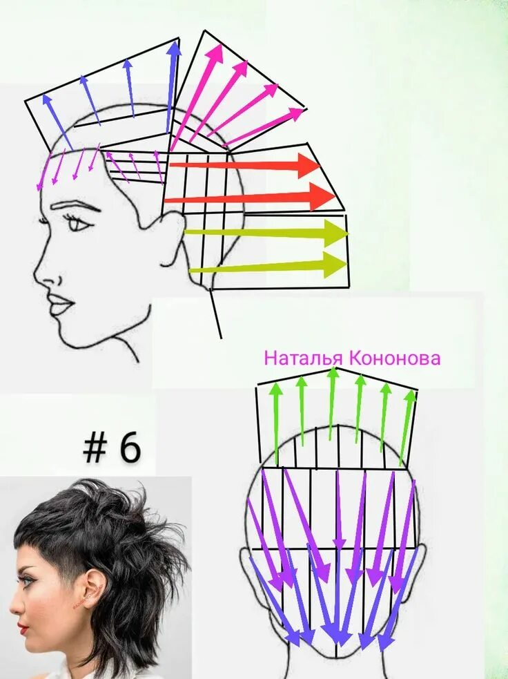 Стрижка техника выполнения стрижки. Схемы стрижек. Схемы женских стрижек. Схема стрижки маллет. Схемы креативных стрижек.