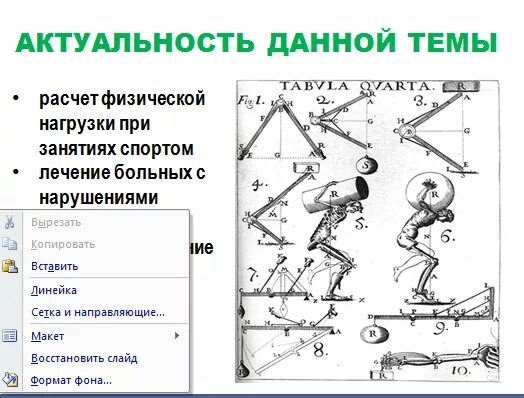 Физические упражнения по биомеханической структуре движения. Физические упражнения по биомеханической структуре движения
