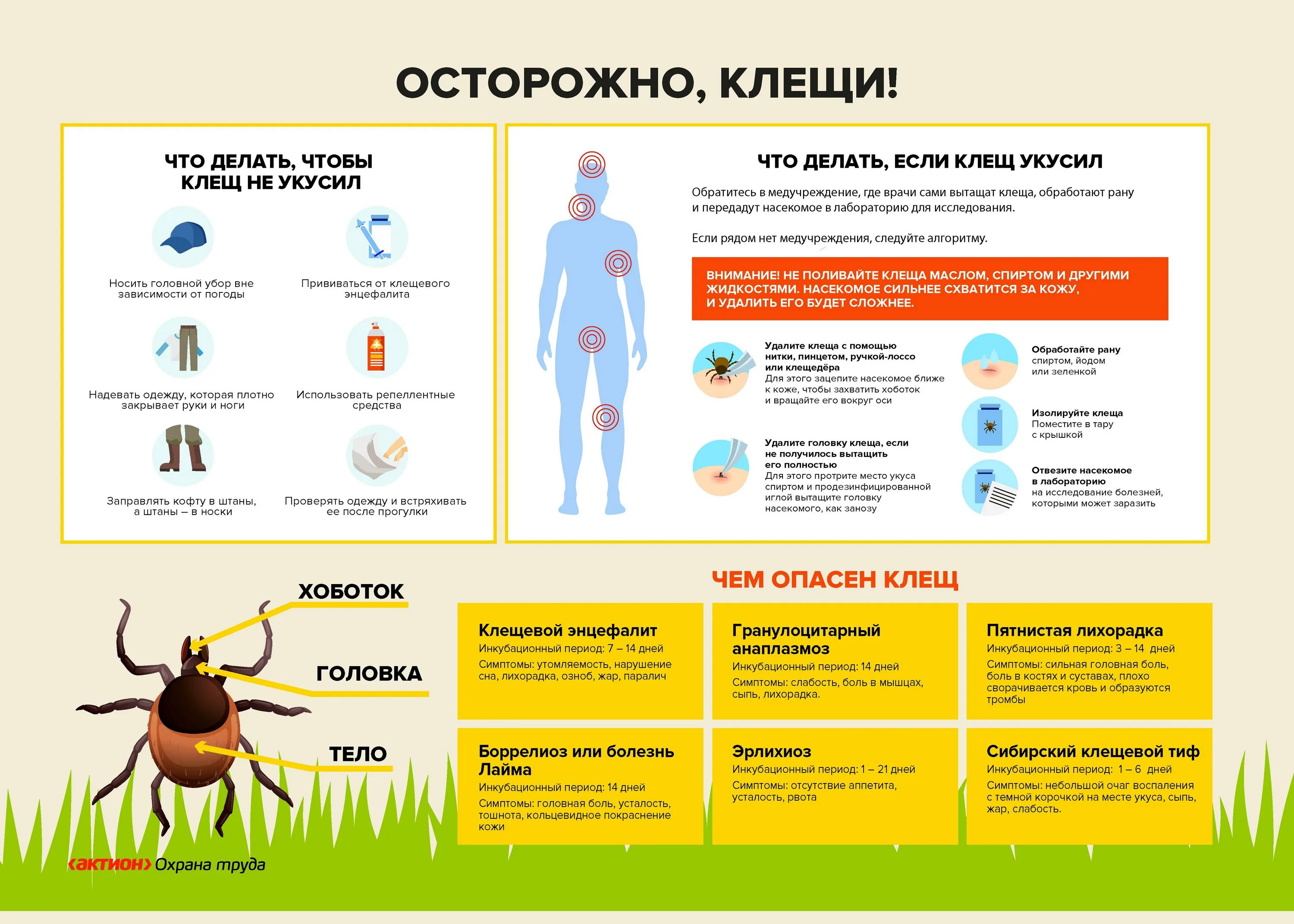 Профилактика укуса клеща человеку. Клещи переносчики возбудителей заболеваний. Памятка клещи. Gfvznrj j RKTOF[. Осторожно клещи.