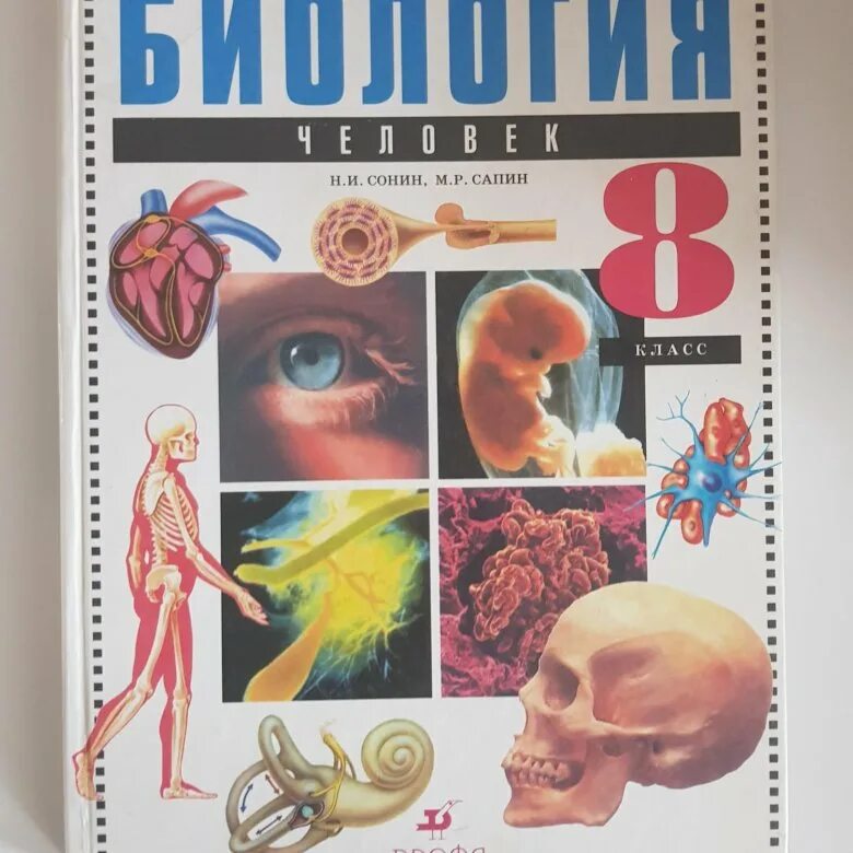 Ученик по биологии 8 класс. Сонин н.и., Сапин м.р. биология. Человек. 8 Кл.. Биология 8 класс человек Сонин Сапин. Биология 8 класс Сонин учебник Дрофа. Биология Сонин 8 класс анатомия.