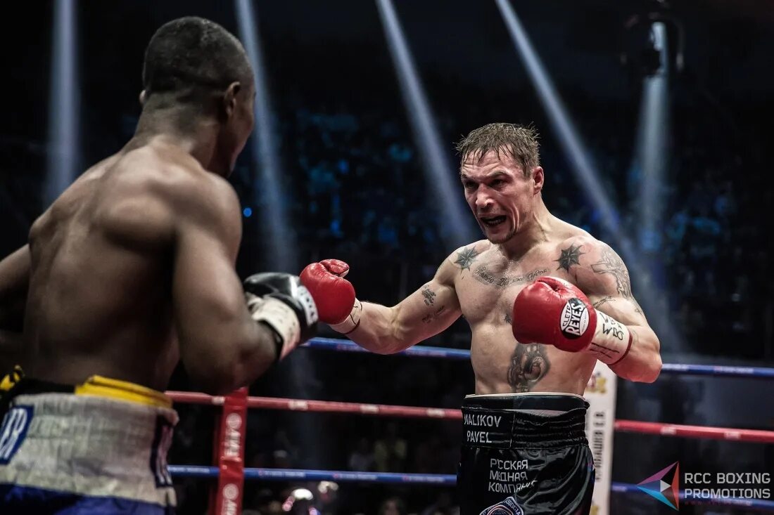 павел маликов. павел маликов боксер тату. павел маликов боксер фото. павел маликов тату. павел маликов боксер тату.