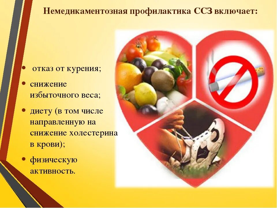 Профилактика заболеваний сердечно сосудистой системы проект Территориальный Фонд