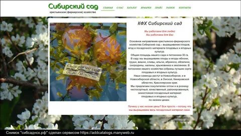 Саженцы каталог новосибирск