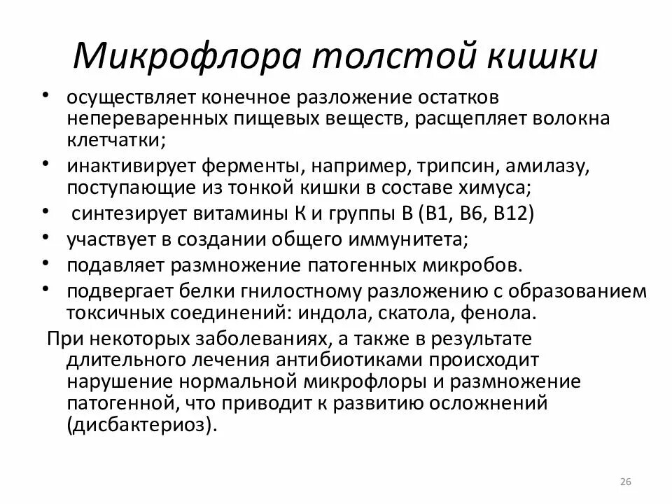 Значение микрофлоры толстого кишечника. Значение микрофлоры толстого кишечника
