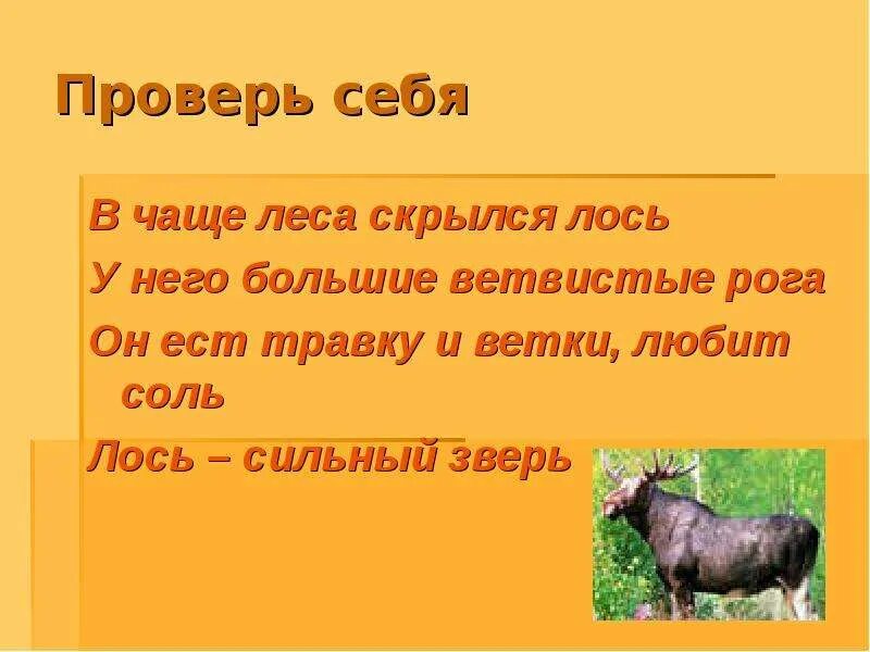 Предложение со словом зверь. В чаще леса скрывался Лось. У него большие ветвистые рога в чаще леса скрывался Лось. Лось сильный зверь текст. В чаще леса скрывался Лось.Лось.