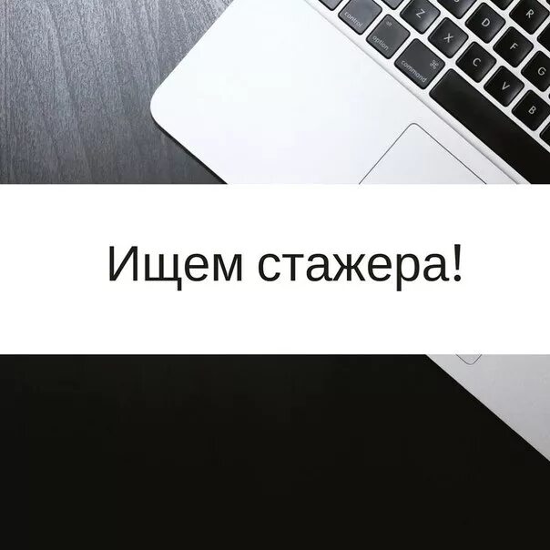 льготная политика для иностранных студентов. стажировка на кухне. найдите стажеров. где найти стажировку. ищем дизайнера объявление.