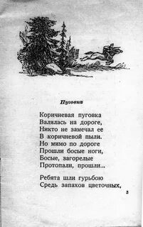 Песни коричневая пуговка валялась на дороге