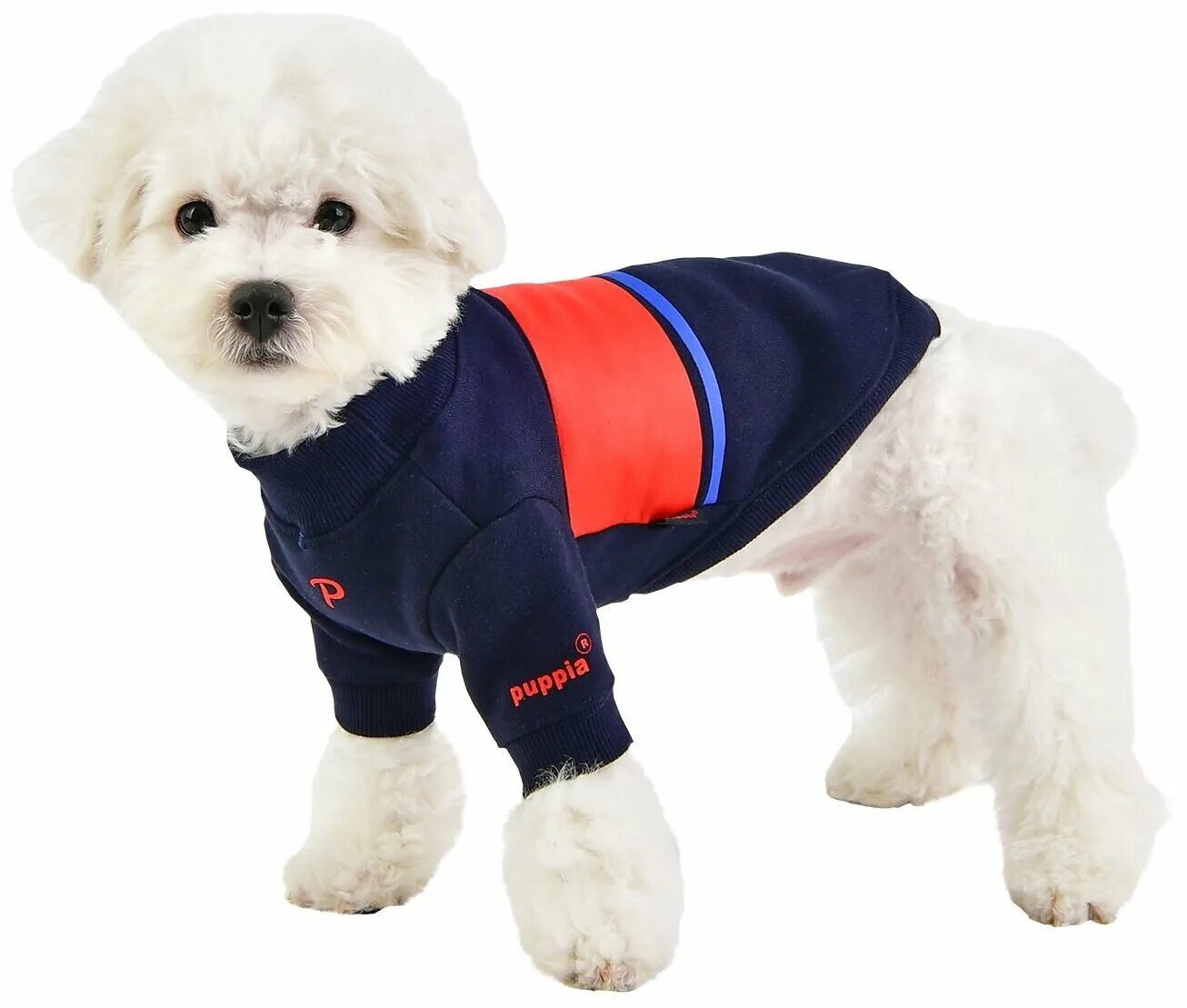 Puppia одежда для собак. Puppia sports собакам. Комбинезон для собак puppia. Ефтисия паппиа. Шлейка puppia ritefit размер.