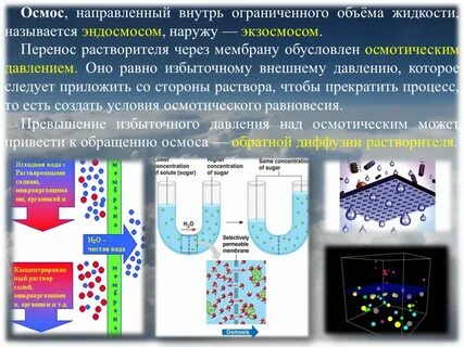 Что означает слово осмос