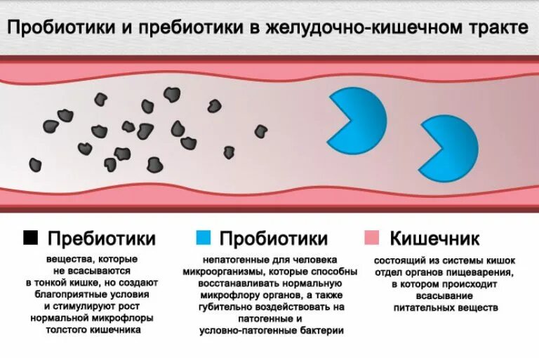 Для чего нужны пребиотики. Пробиотик ииприбиотик. Пробиотики и пребиотики. Пребиотки для кишечника. Пробиотик и пррьиотикти.