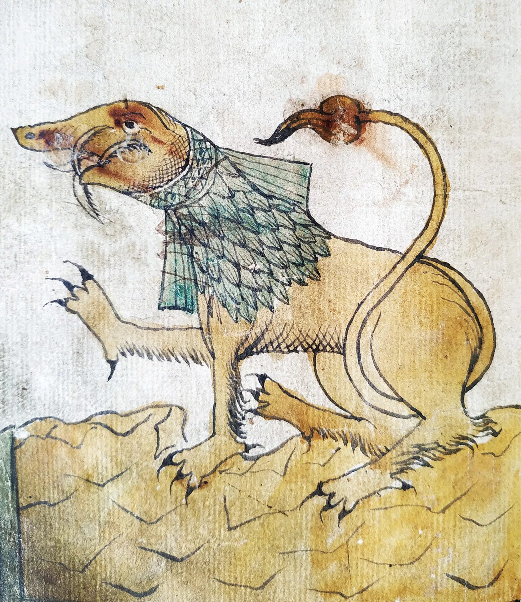 Средневековый Бестиарий крокодил. Средневековый Бестиарий иллюстрации крокодил. Бестиарий страдающее средневековье. Бестиарий средневековый манускрипты.