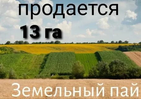 Наследство земельный пай
