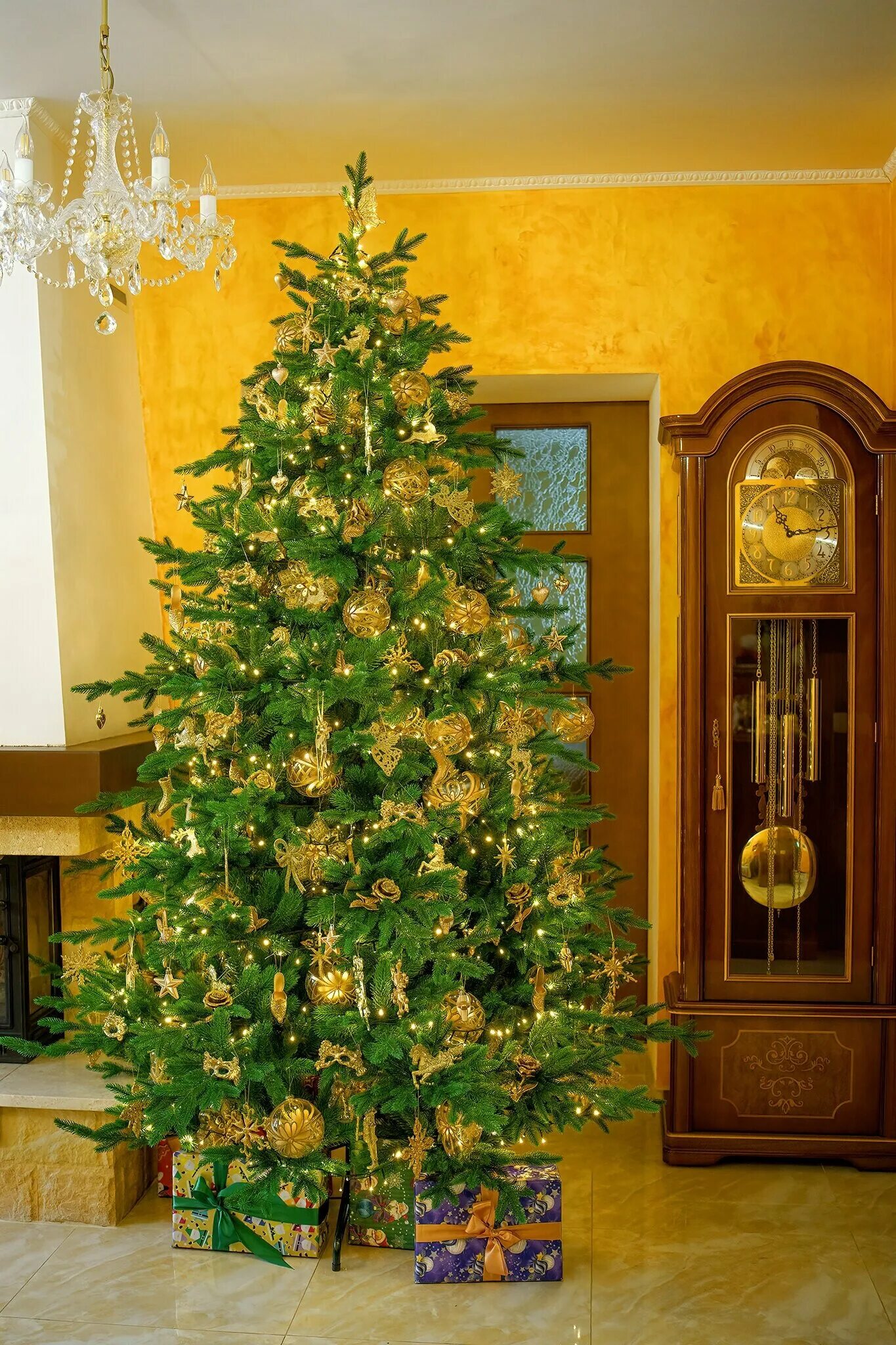 Царь елка хаген премиум. Царь елка хаген. Царь елка хаген. Царь елка хаген премиум. Царь елка хаген.