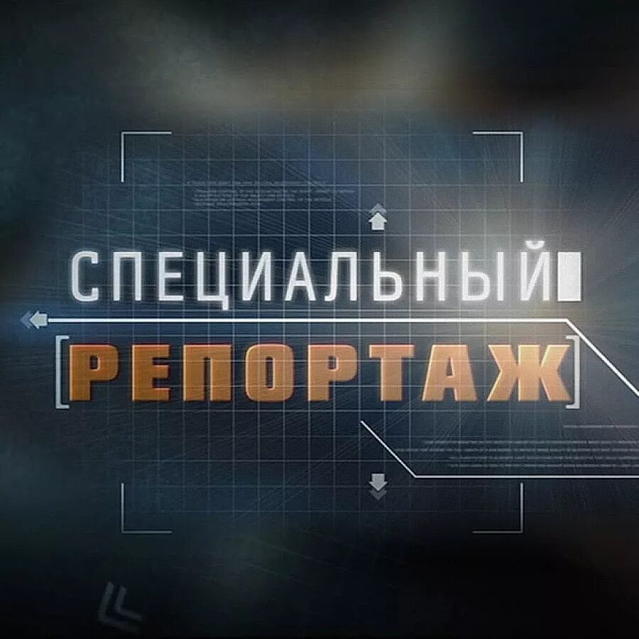 Телеканал звезда репортажи. Телеканал звезда репортажи. Спецрепортаж заставка. Телеканал звезда репортажи. Специальный репортаж твц.