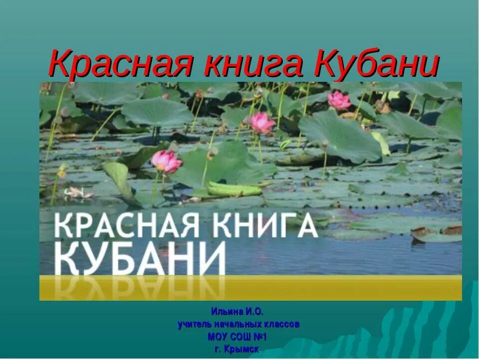 Проект на тему красная книга краснодарского края КРАСНАЯ КНИГА КУБАНИ #МБОУ_СОШ_7Ейск Фотография 6 из 28 ВКонтакте