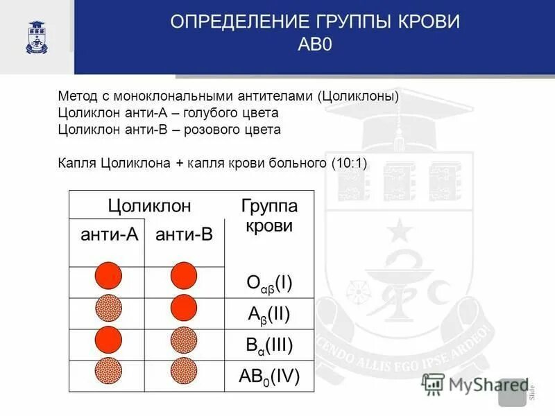 Определение крови цоликлонами таблица Переливание крови и ее компонентов. Осложнения при переливании крови презентац