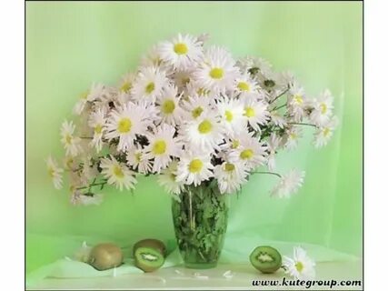С днем рождения женщине красивые с ромашками